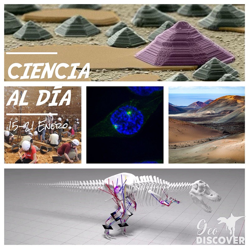 Cabecera de Ciencia al Día