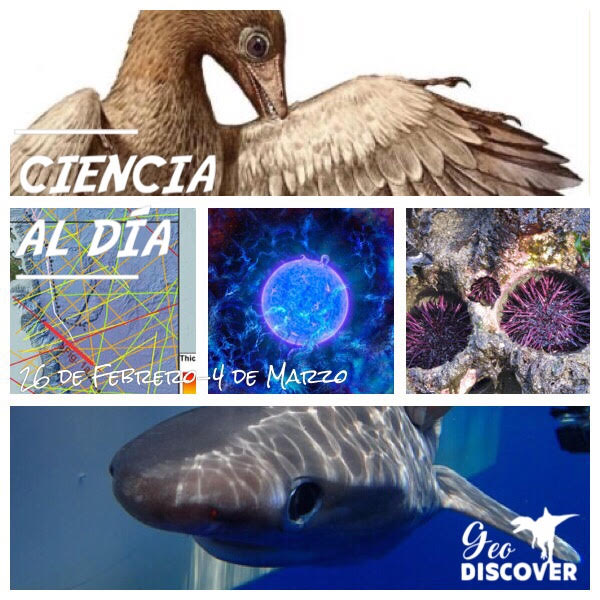 Cabecera de Ciencia al Día